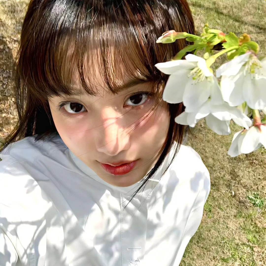 小飞的梦想